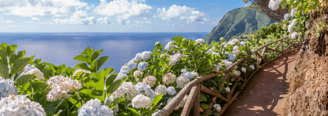 Screenshot 2025-06-12 121755