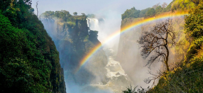 Screenshot 2026-03-11 182009